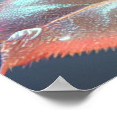 Rose aus lichtdurchlässigem Glas - Peach Poster (Ecke)