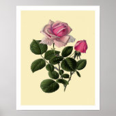 Rose aus rosa Tee Poster (Vorne)