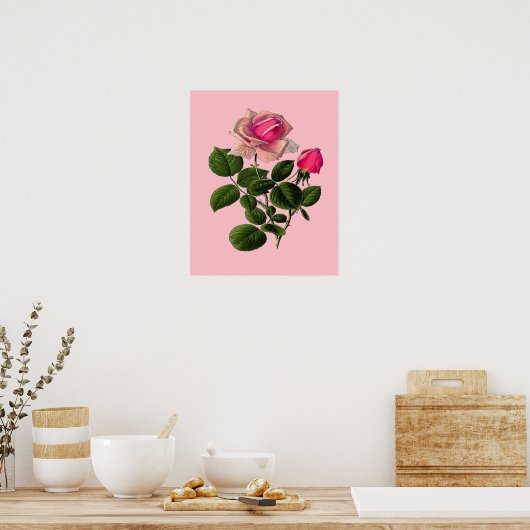 Rose aus rosa Tee Poster (Küche)