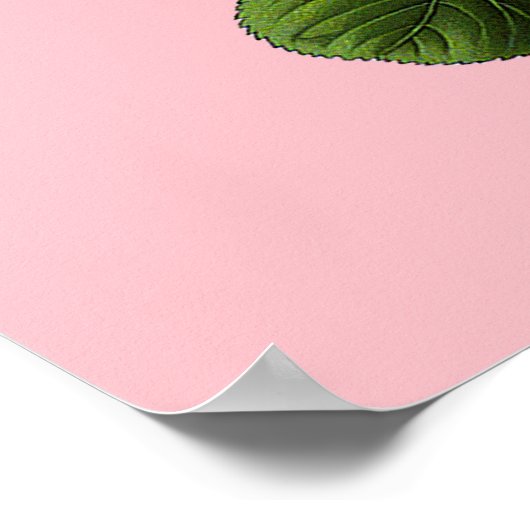 Rose aus rosa Tee Poster (Ecke)