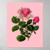 Rose aus rosa Tee Poster (Vorne)