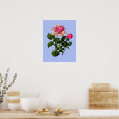 Rose aus rosa Tee Poster (Küche)