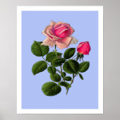 Rose aus rosa Tee Poster (Vorne)