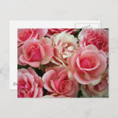 Rose aus Rosa und Creme Bouquet Blume Postkarte (Vorne/Hinten)
