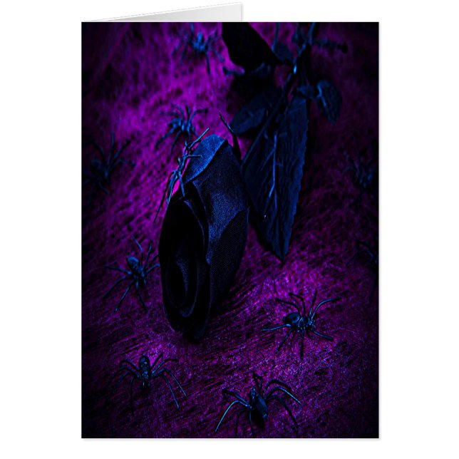 Rose aus schwarzem Material, Schwarze Spinnen (Vorne)