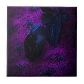 Rose aus schwarzem Material, Schwarze Spinnen Fliese (Vorderseite)