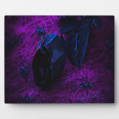 Rose aus schwarzem Material, Schwarze Spinnen Fotoplatte (Vorderseite)