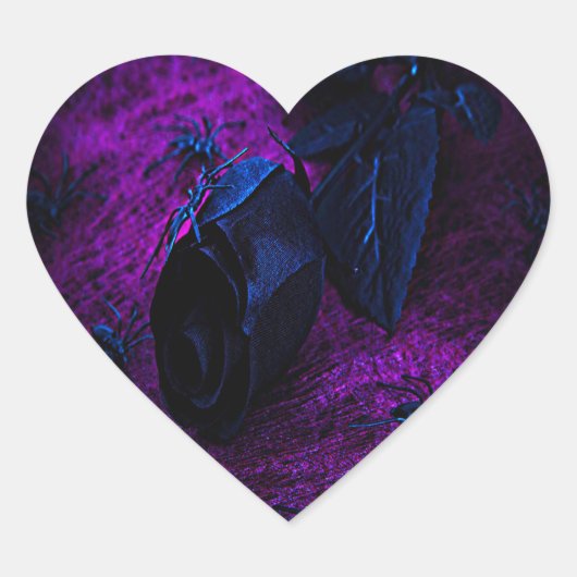 Rose aus schwarzem Material, Schwarze Spinnen Herz-Aufkleber (Vorderseite)