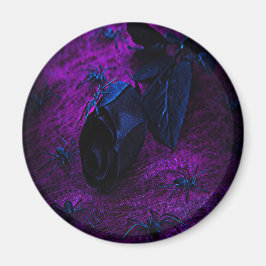 Rose aus schwarzem Material, Schwarze Spinnen Magnet