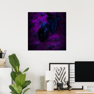 Rose aus schwarzem Material, Schwarze Spinnen Poster