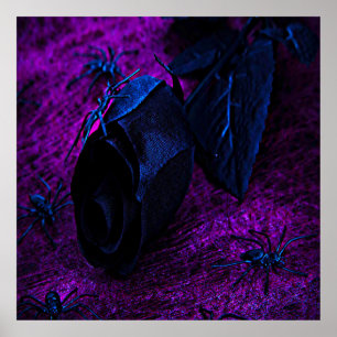 Rose aus schwarzem Material, Schwarze Spinnen Poster