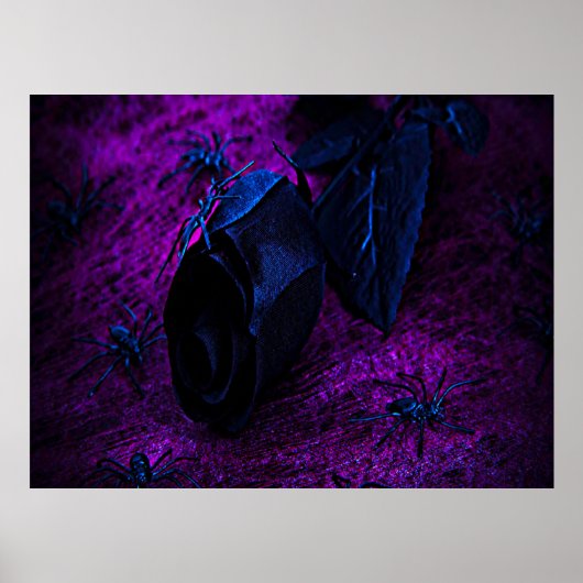 Rose aus schwarzem Material, Schwarze Spinnen Poster (Vorne)