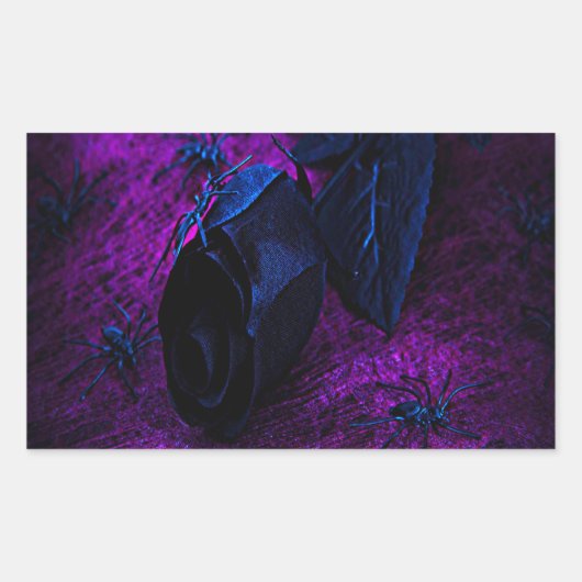 Rose aus schwarzem Material, Schwarze Spinnen Rechteckiger Aufkleber (Vorderseite)