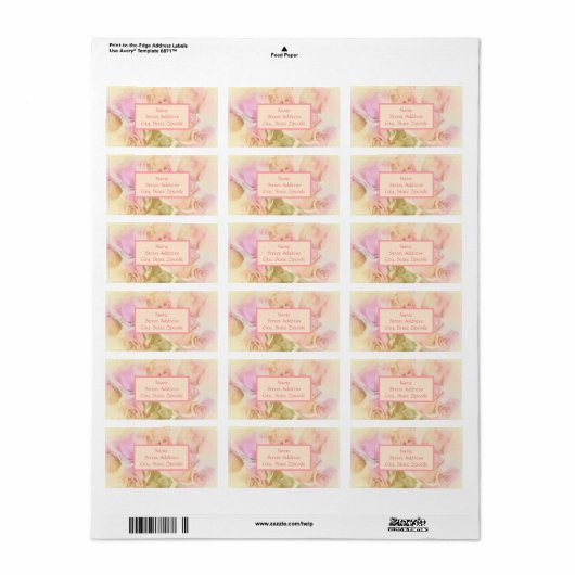 Rose aus weichem Pastell Adressaufkleber (Vorne)