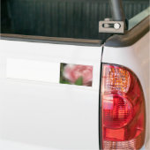 Rose Autoaufkleber (Auf Lkw)