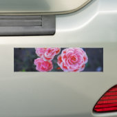 Rose Autoaufkleber (Auf Auto)