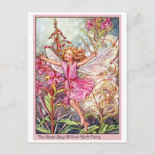 Rose-Bay Wilow-Herb Fairy Postkarte