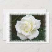 Rose bedeutet Einladung (Vorderseite)