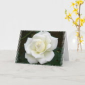 Rose bedeutet Grußkarte Karte (Gelbe Blume)