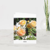 Rose, Beileid Karte (Rückseite)