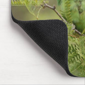 Rose-beringter Parakeet Mousepad (Ecke)