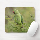 Rose-beringter Parakeet Mousepad (Mit Mouse)