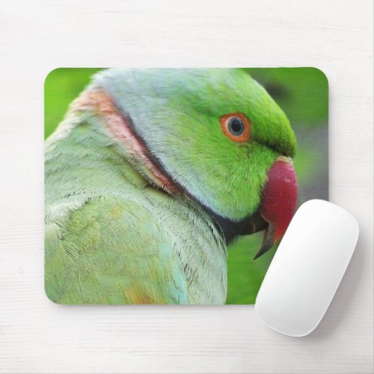 Rose-Beringter Parakeet Mousepad (Mit Mouse)