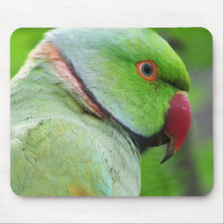 Rose-Beringter Parakeet Mousepad