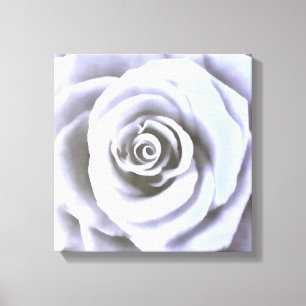 Rose "Big Bale Blue" Leinwanddruck