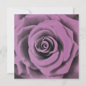 Rose "Big Dark Lavender" Einladung (Vorderseite)