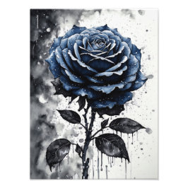 Rose - Blau Fotodruck