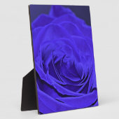 Rose Blauer Velvet Fotoplatte (Seite)