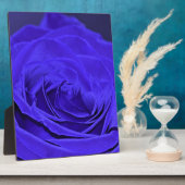Rose Blauer Velvet Fotoplatte (Seite)