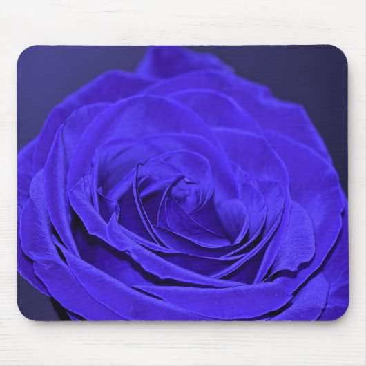 Rose Blauer Velvet Mousepad (Vorne)