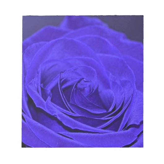 Rose Blauer Velvet Notizblock (Vorderseite)