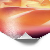 Rose bleiben und wissen inspirierendes Zitat 8x10 Fotodruck (Ecke)