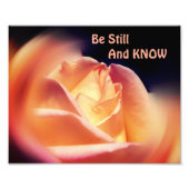 Rose bleiben und wissen inspirierendes Zitat 8x10 Fotodruck (Vorne)