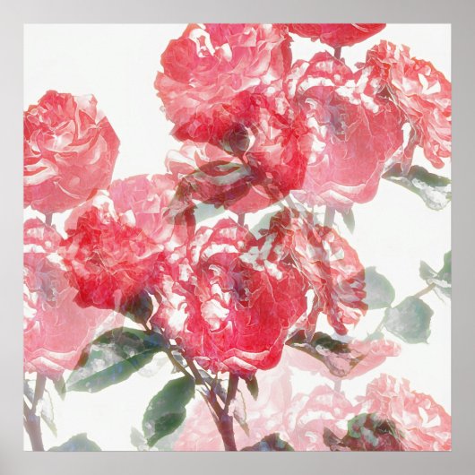 Rose Bloom Illusion Art Poster (Vorne)