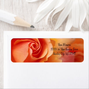 Rose Blossom / Apricot Peach / Rücksendeadresse