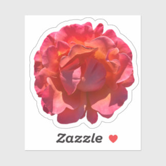 Rose Blossom Aufkleber