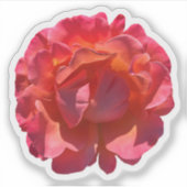 Rose Blossom Aufkleber (Vorderseite)