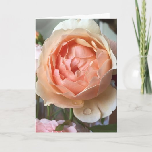 Rose Blossom Card Karte (Vorderseite)