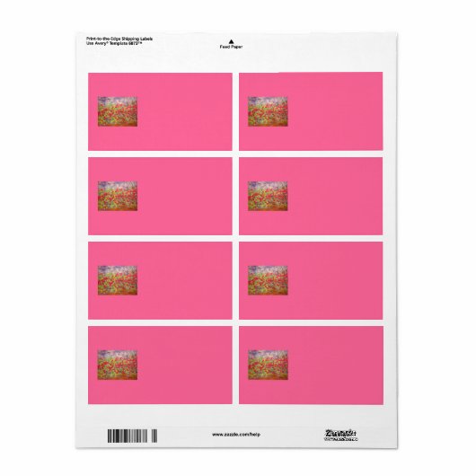 Rose blühen (Vorne)