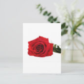Rose blüht Blume Zerstöre Liebe des Friedens Postkarte (Stehend Vorderseite)