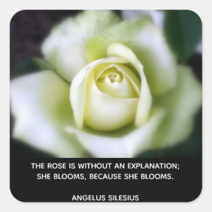 Rose blüht Zitat Quadratischer Aufkleber