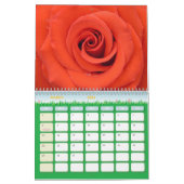 Rose Blume 2025 Kalender (Mär 2026)