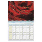 Rose Blume 2025 Kalender (Jan 2027)