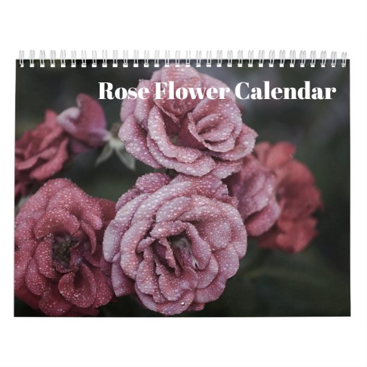 Rose Blume 2025 Kalender (Titelbild)