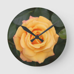 Rose Blume Blume Liebe Ehefrau Liebespaar Runde Wanduhr
