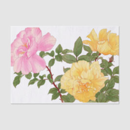 Rose Blume, Blumen Seidenpapier